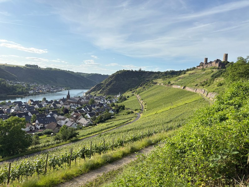 Weinberge und Ort in einem Flusstal